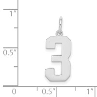 Sterling Silver Rhodium-plated Polished Number 3 Charm view 3