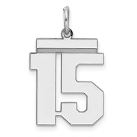 Sterling Silver Rhodium-plated Polished Number 15 Charm view 1
