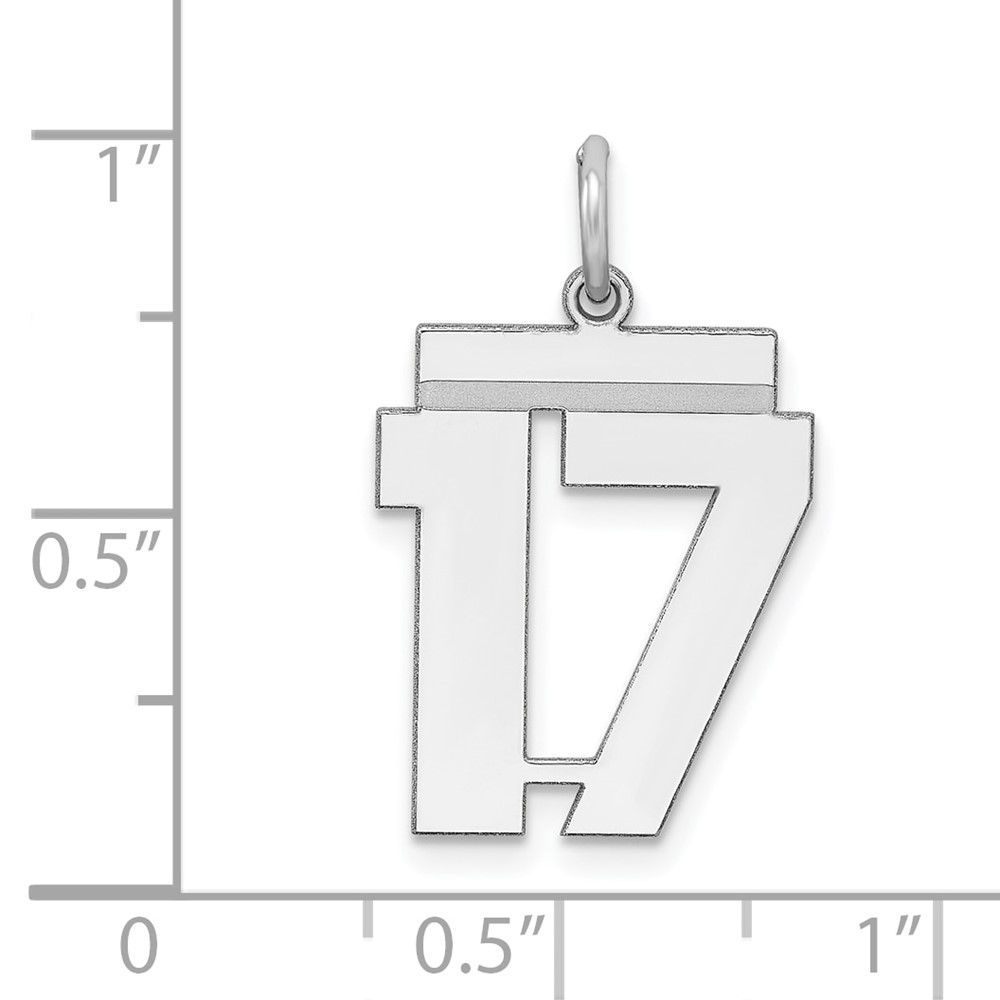 Sterling/Silver Rhodium-plated Polished Number 17 Charm (QMS17)