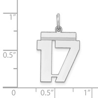 Sterling Silver Rhodium-plated Polished Number 17 Charm view 3