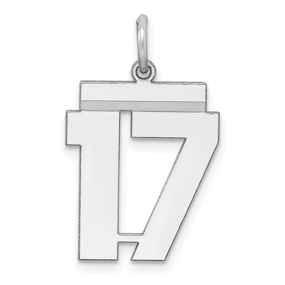 Sterling/Silver Rhodium-plated Polished Number 17 Charm (QMS17)