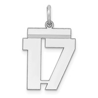 Sterling Silver Rhodium-plated Polished Number 17 Charm view 1