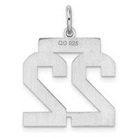 Sterling Silver Rhodium-plated Polished Number 22 Charm view 4