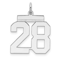 Sterling Silver Rhodium-plated Polished Number 28 Charm view 1