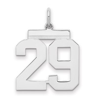 Sterling Silver Rhodium-plated Polished Number 29 Charm view 1