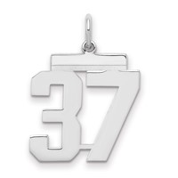 Sterling Silver Rhodium-plated Polished Number 37 Charm view 1