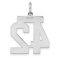 Sterling Silver Rhodium-plated Polished Number 42 Charm view 4