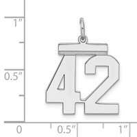Sterling Silver Rhodium-plated Polished Number 42 Charm view 3