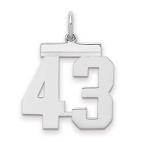Sterling Silver Rhodium-plated Polished Number 43 Charm view 1