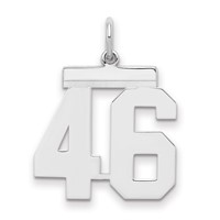 Sterling Silver Rhodium-plated Polished Number 46 Charm view 1