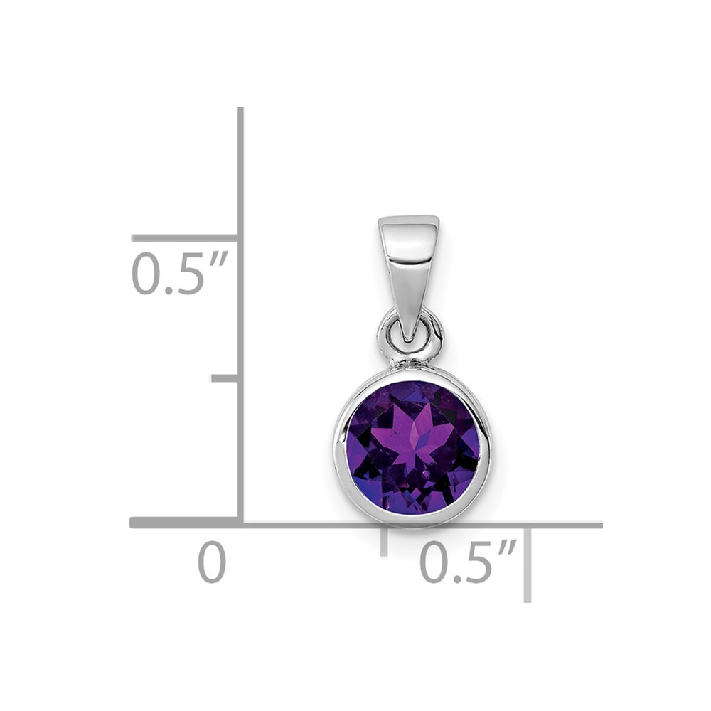 Sterling Silver Rhodium-plated Polished Amethyst Round Pendant (QP4552AM)
