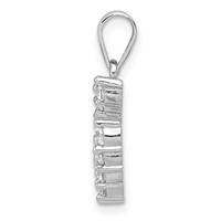 Sterling Silver Rhodium-plated Horseshoe CZ Pendant view 2
