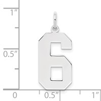 Sterling Silver Rhodium-plated Polished Number 6 Charm view 4