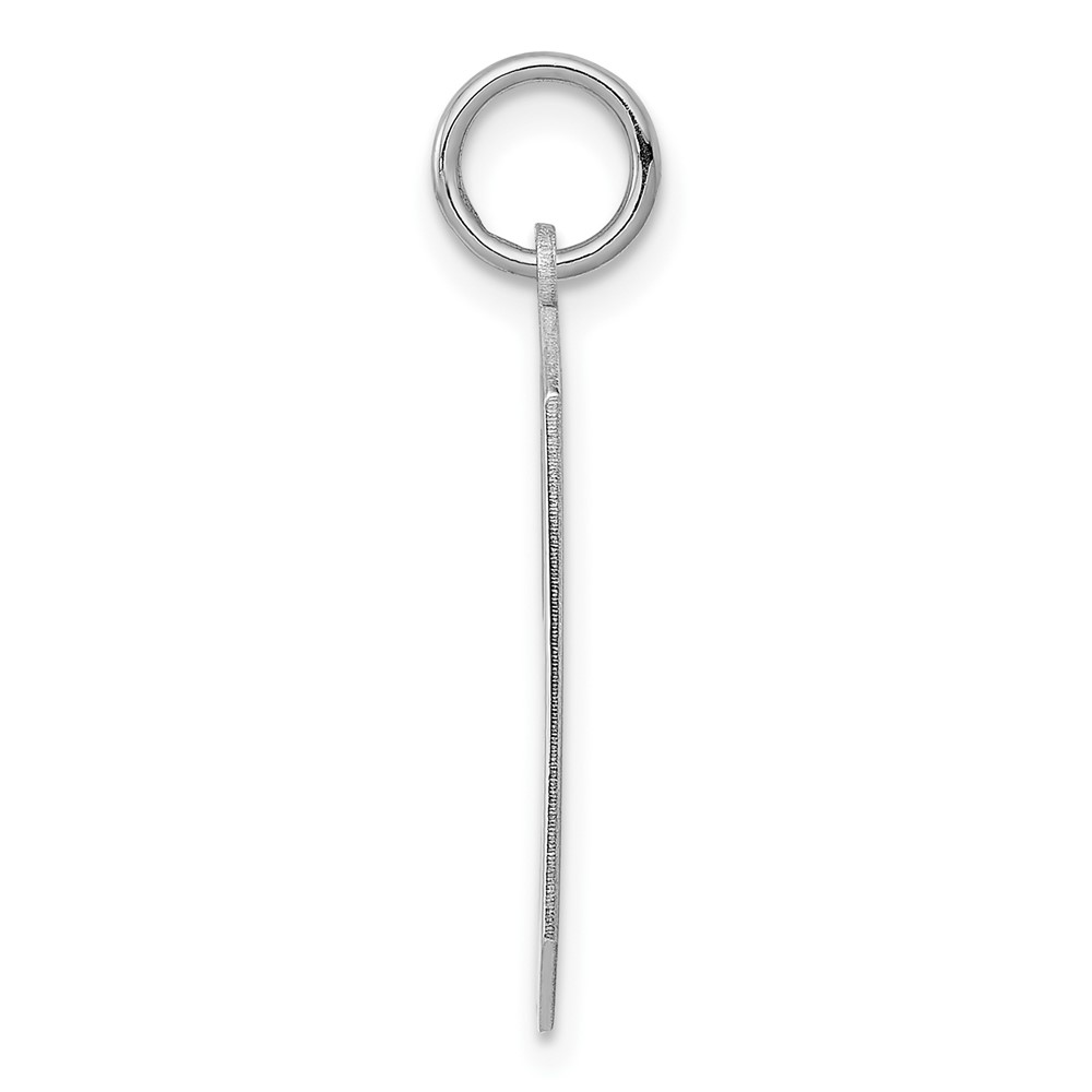 Sterling Silver/Rhodium-plated Polished Number 9 Charm (QPL09)