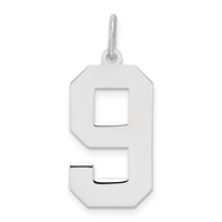 Sterling Silver Rhodium-plated Polished Number 9 Charm view 1