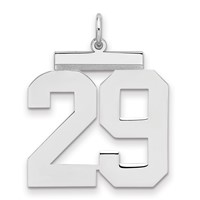 Sterling Silver Rhodium-plated Polished Number 29 Charm view 1