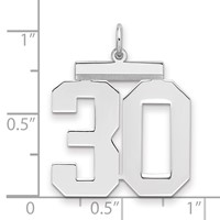 Sterling Silver Rhodium-plated Polished Number 30 Charm view 2