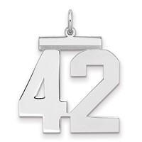 Sterling Silver Rhodium-plated Polished Number 42 Charm view 1
