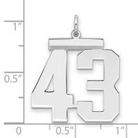 Sterling Silver Rhodium-plated Polished Number 43 Charm view 2