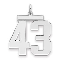 Sterling Silver Rhodium-plated Polished Number 43 Charm view 1