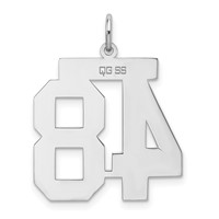 Sterling Silver Rhodium-plated Polished Number 48 Charm view 4