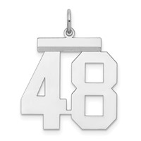 Sterling Silver Rhodium-plated Polished Number 48 Charm view 1