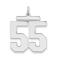 Sterling Silver Rhodium-plated Polished Number 55 Charm view 1