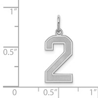 Sterling Silver Rhodium-plated Satin Number 2 Charm view 3