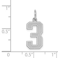 Sterling Silver Rhodium-plated Satin Number 3 Charm view 3