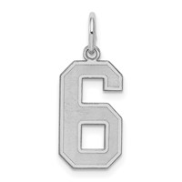 Sterling Silver Rhodium-plated Satin Number 6 Charm view 1