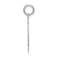 Sterling Silver Rhodium-plated Satin Number 12 Charm view 2