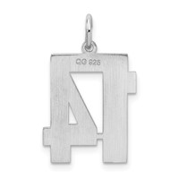 Sterling Silver Rhodium-plated Satin Number 14 Charm view 4