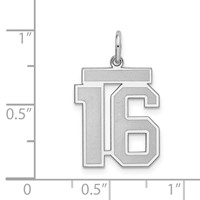 Sterling Silver Rhodium-plated Satin Number 16 Charm view 3