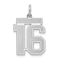 Sterling Silver Rhodium-plated Satin Number 16 Charm view 1