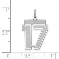 Sterling Silver Rhodium-plated Satin Number 17 Charm view 3