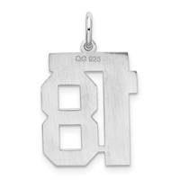 Sterling Silver Rhodium-plated Satin Number 18 Charm view 4