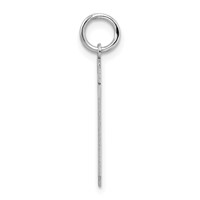 Sterling Silver Rhodium-plated Satin Number 19 Charm view 2