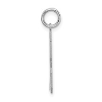 Sterling Silver Rhodium-plated Satin Number 23 Charm view 2