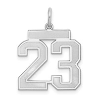 Sterling Silver Rhodium-plated Satin Number 23 Charm view 1