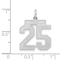 Sterling Silver Rhodium-plated Satin Number 25 Charm view 3
