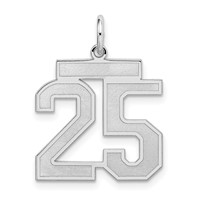 Sterling Silver Rhodium-plated Satin Number 25 Charm view 1