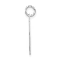 Sterling Silver Rhodium-plated Satin Number 28 Charm view 2