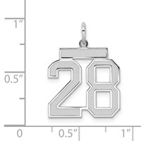 Sterling Silver Rhodium-plated Satin Number 28 Charm view 3