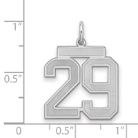 Sterling Silver Rhodium-plated Satin Number 29 Charm view 2