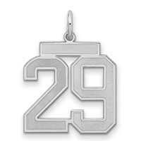 Sterling Silver Rhodium-plated Satin Number 29 Charm view 1