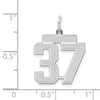 Sterling Silver Rhodium-plated Satin Number 37 Charm view 3
