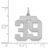 Sterling Silver Rhodium-plated Satin Number 39 Charm view 2