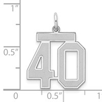 Sterling Silver Rhodium-plated Satin Number 40 Charm view 3