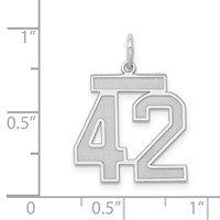 Sterling Silver Rhodium-plated Satin Number 42 Charm view 3