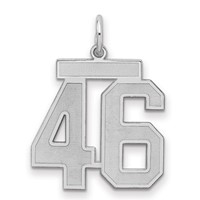 Sterling Silver Rhodium-plated Satin Number 46 Charm view 1